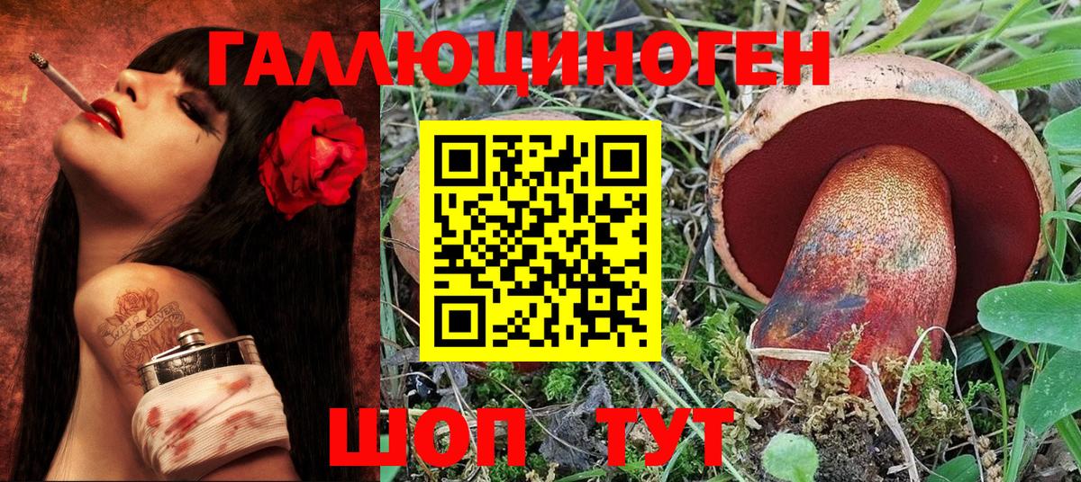 Псилоцибиновые грибы Psilocybe Сальск