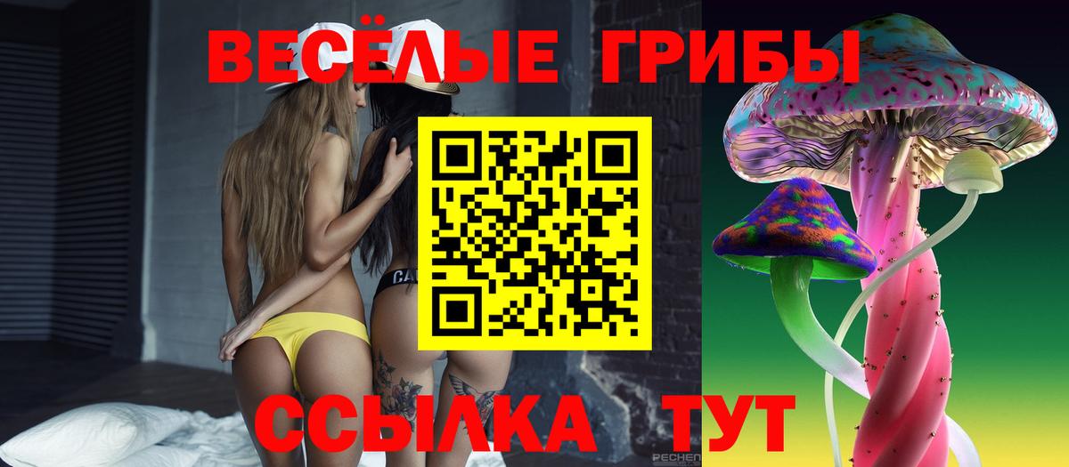 Сальск  как найти   Вход с VPN  Псилоцибиновые грибы мицелий 